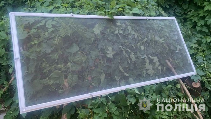 У поліції розповіли деталі падіння дітей з другого поверху в Луцьку