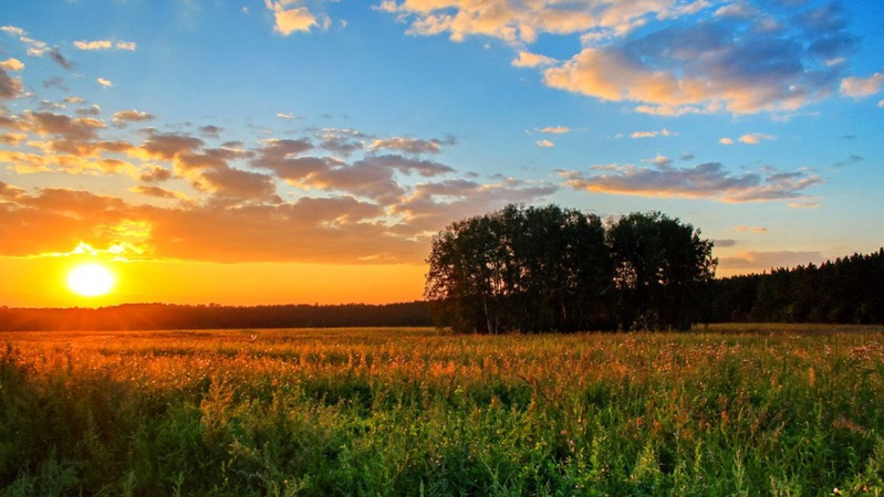 Коли до України прийде потепління