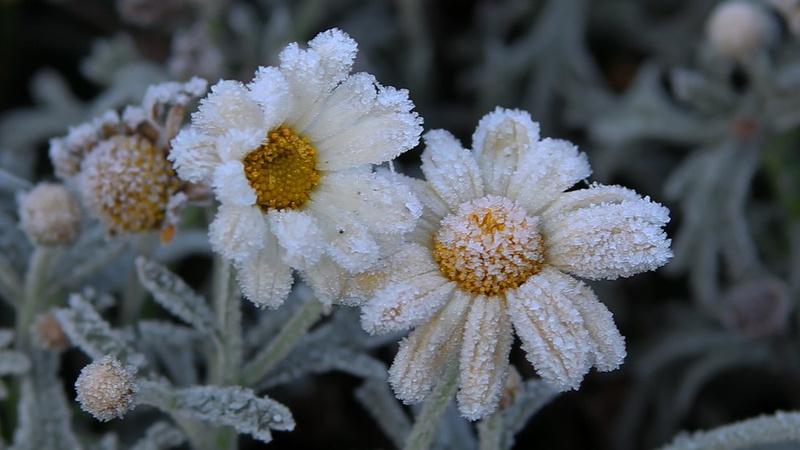 Синоптики спрогнозували погоду на Волині у четвер, 23 вересня