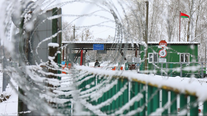 Вперше за 8 місяців у білорусі дозволили ходити в ліси поруч з Україною