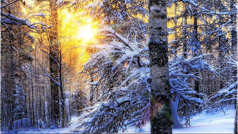 Волинські синоптики спрогнозували погоду на вівторок, 13 січня