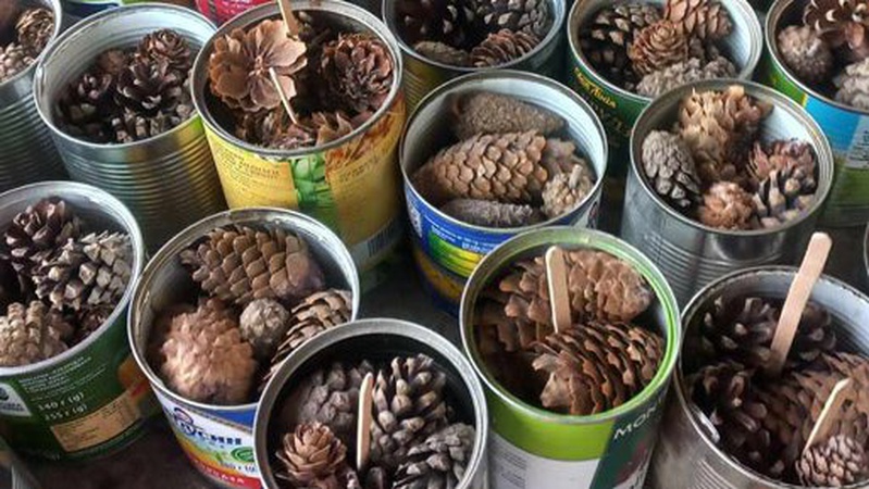 Не мають кіптяви, яскраво горять та пахнуть лісом: на Волині виготовляють окопні свічки з шишок