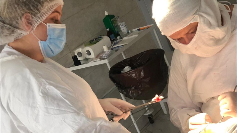 Медики прооперували волинянина, який впав з висоти свого росту