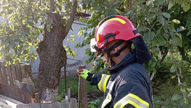 Рятувальники виловили плазуна на обійсті волинян