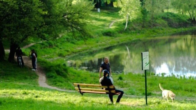 Скандал у Луцьку: що і хто будує в парку 900-річчя