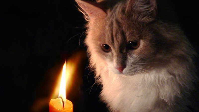 У Луцьку, в середу, 4 серпня, не буде світла на трьох вулицях. АДРЕСИ