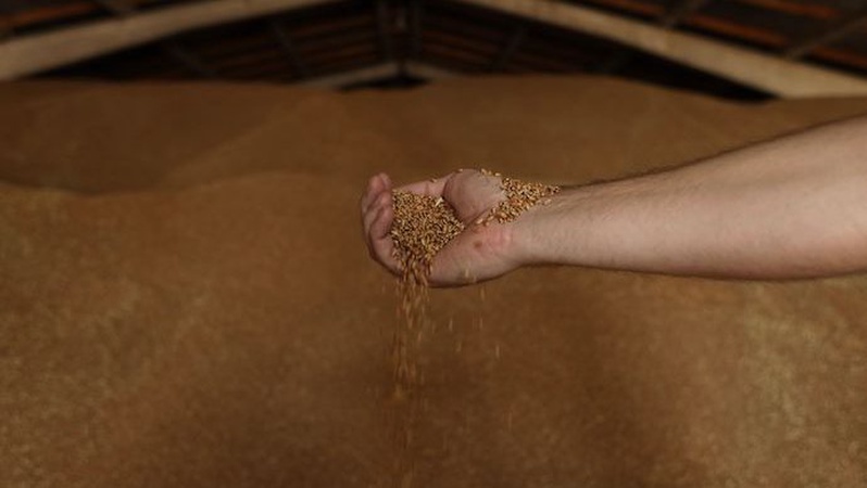 Розблоковані порти зможуть експортувати 3 мільйони тонн агропродукції щомісяця