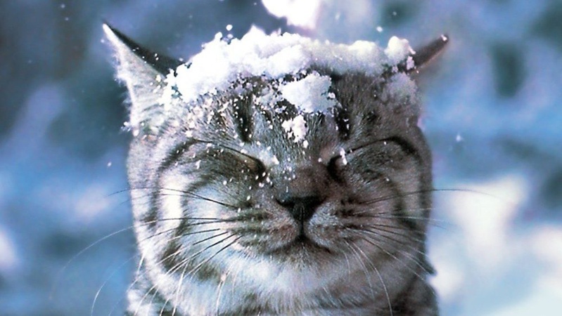 Мокрий сніг та ожеледиця: прогноз погоди на 4 січня