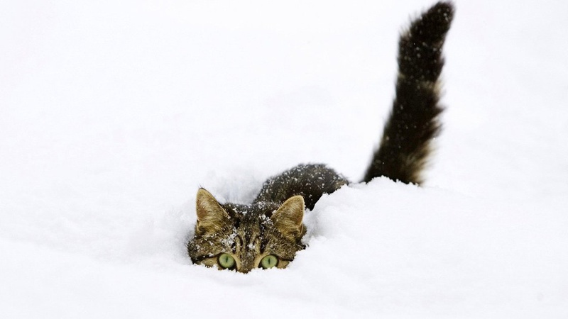 Синоптик про погоду на завтра: влупить 10-градусний мороз і здійметься вітер