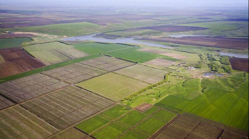 У волинському місті – черги на земельні ділянки учасниками АТО