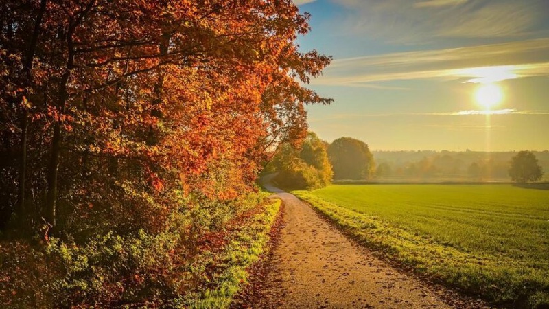 В Україну йде похолодання та дощі: синоптик розповіла, де ще триватиме бабине літо