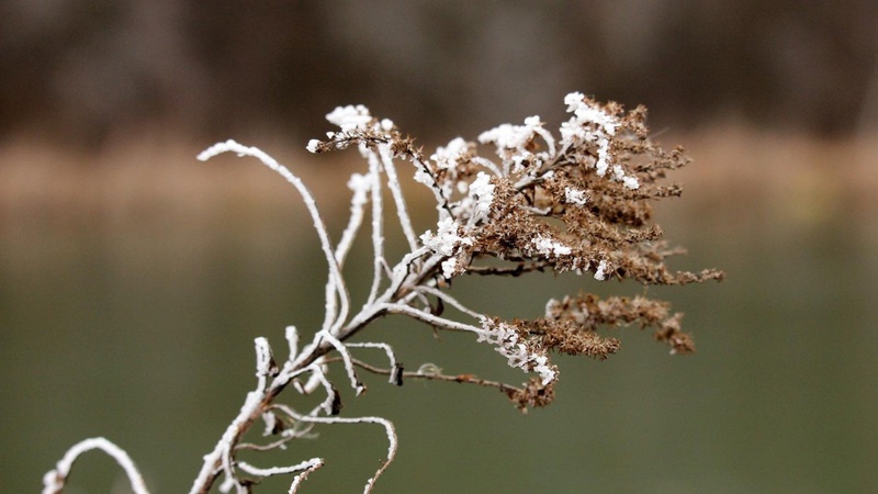 Яка погода очікується завтра, 11 листопада