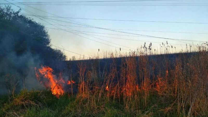 У селі на Волині оштрафували палія сухої трави