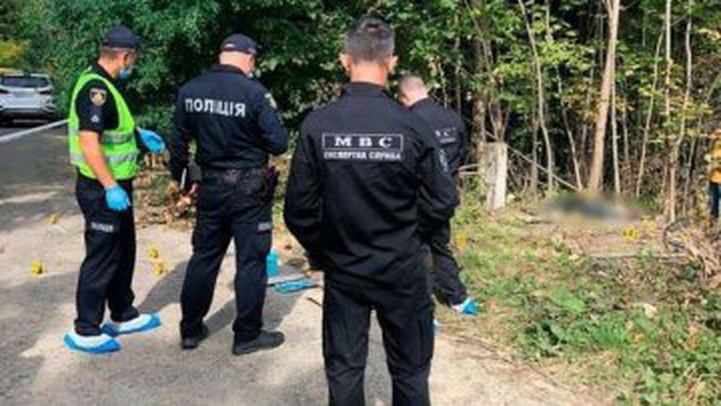 Волинянина, який їхав купляти авто, забили палицями: деталі кривавого вчинку