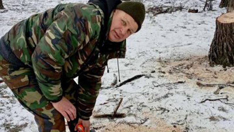 На Волині невідомі незаконно зрізали 13 дерев