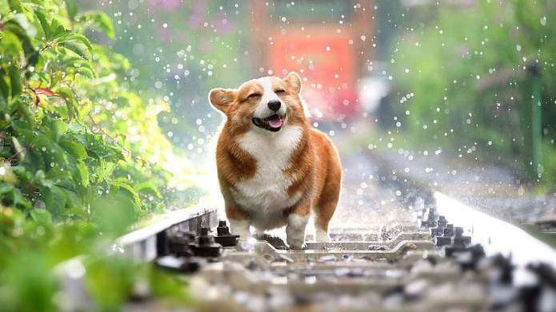 Спека, місцями короткочасний дощ: прогноз погоди на 16 серпня