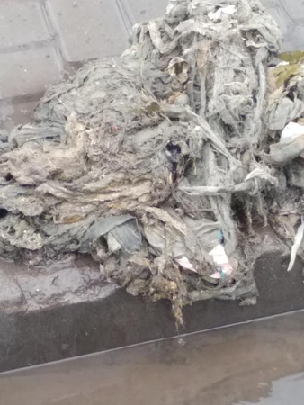 Волиняни забили каналізацію засобами контрацепції