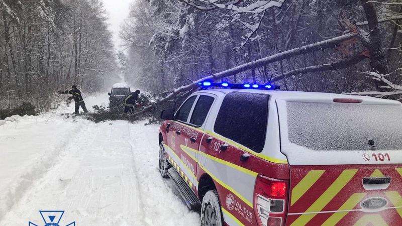 На Волині рятувальники очистили проїжджі частини доріг від поламаних дерев