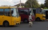 Чому у волинських автобусах безконтрольно дорожчає проїзд