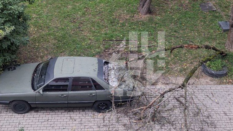 У Луцьку через шквальний вітер постраждав припаркований автомобіль