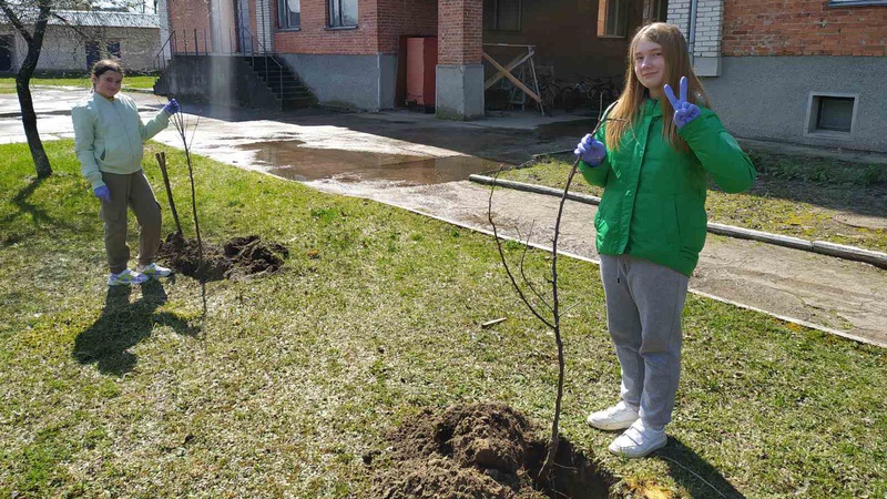 «Сад Перемоги»: понад 20 саджанців сортових яблунь висадили у селищі на Волині