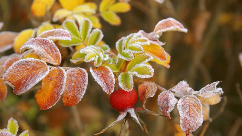 Синоптики спрогнозували погоду на Волині у середу, 29 вересня