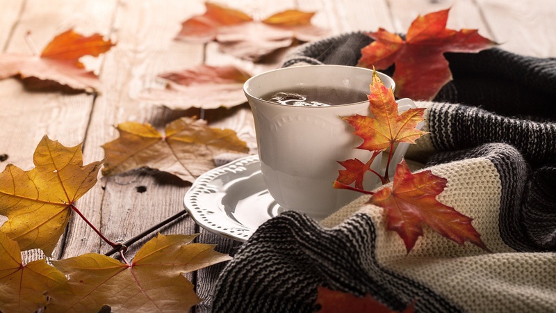 Дощів стане менше, а тепла побільшає: прогноз погоди на неділю, 26 вересня