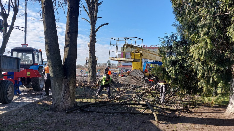 У Володимирі комунальники кронують дерева