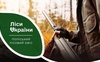 Куля пройшла наскрізь: червонокнижного зубра, знайденого мервим у лісі на Волині, застрелили
