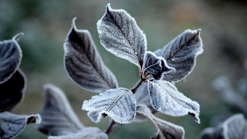 Яка погода очікується завтра, 7 лютого