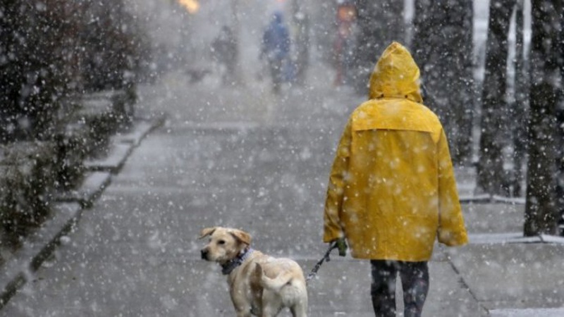 Що прогнозують волинські синоптики завтра, 3 грудня