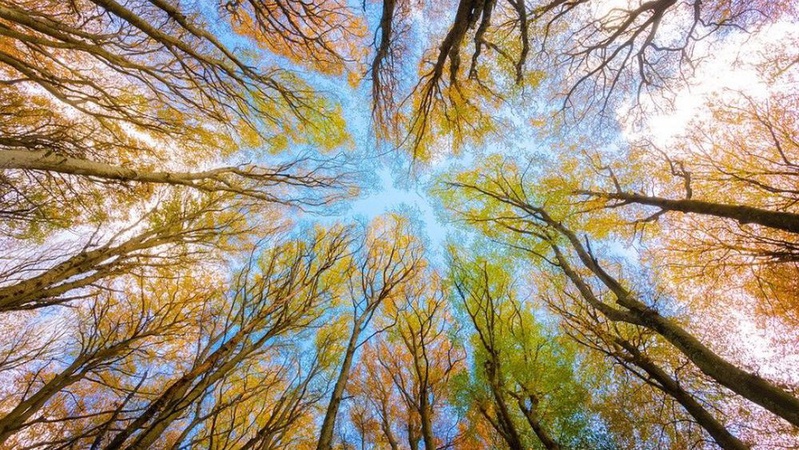 Чи дощитиме завтра, 16 вересня