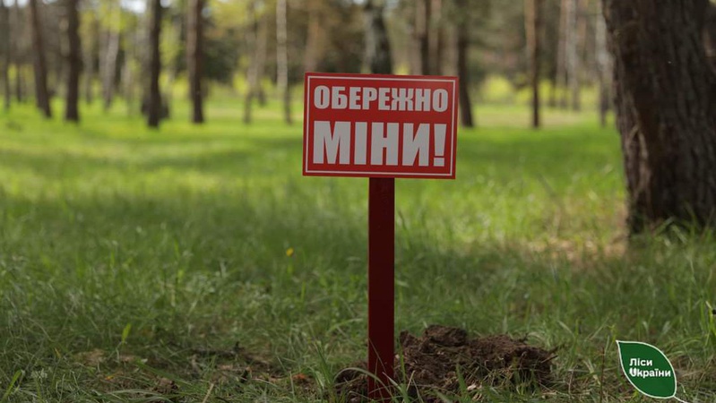 Ліси на Волині та Рівненщині заміновані