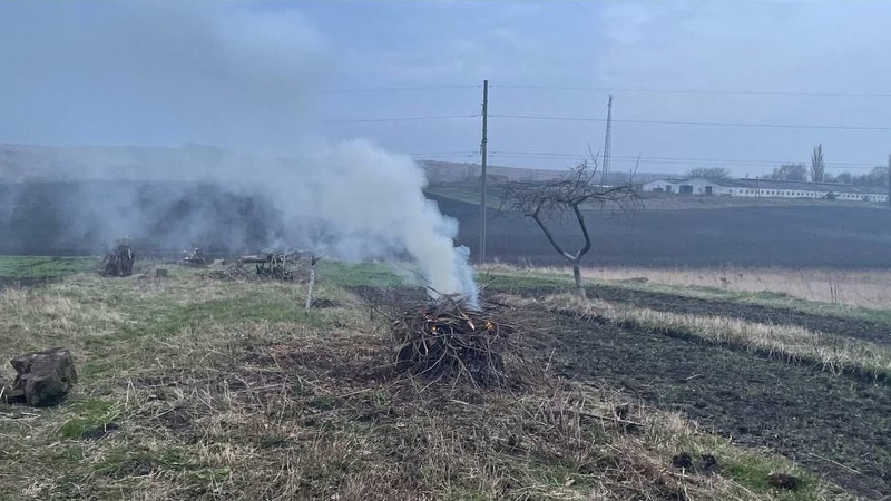 На Волині притягнули до відповідальності паліїв сухої трави