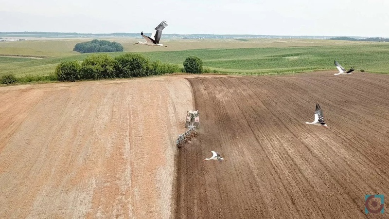 На Волині у росіянина конфіскували городи, які він отримав у спадок