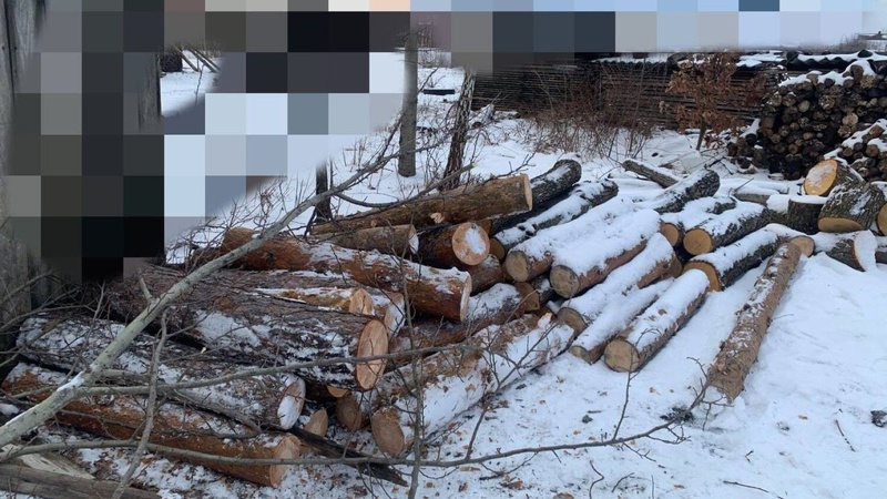 На Волині спіймали крадія лісу