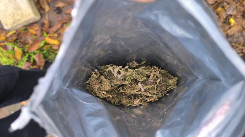 У волинянина під час обшуку знайшли наркотики