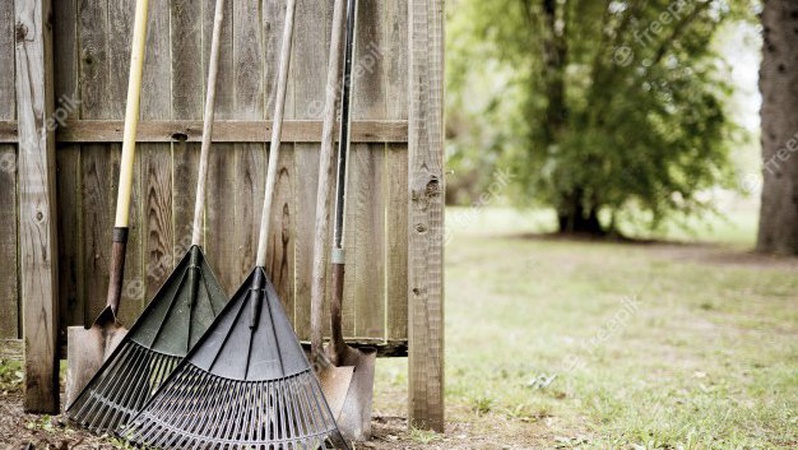 Камінь-Каширську громаду просять прибрати обійстя  та прилеглу територію