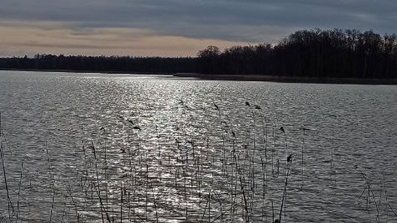 На Волині за два дні викрито 10 порушень рибальства