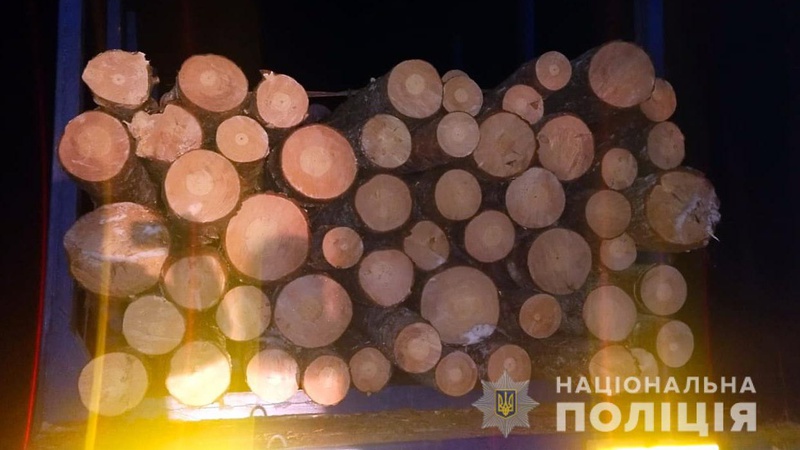 На Волині затримали фуру «лівої» деревини. ФОТО