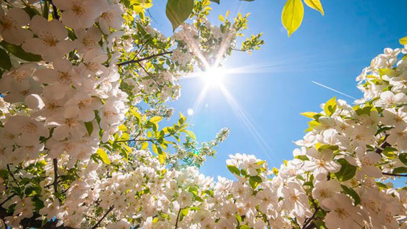 Прогноз погоди на Волині на 27 березня