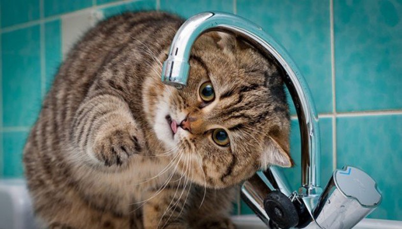 Через масштабну аварію без води залишили три вулиці Луцька