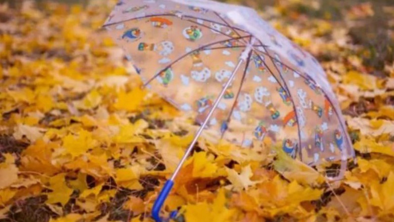 Яка погода очікується завтра, 4 листопада