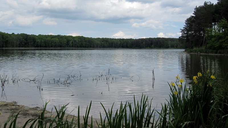 У Володимирі незаконно передали приватнику в оренду озеро