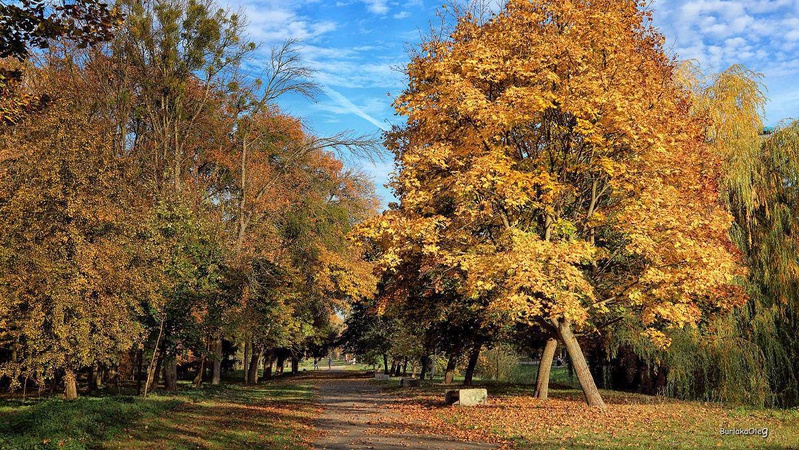 Потепління, місцями тумани: прогноз погоди на 21 жовтня