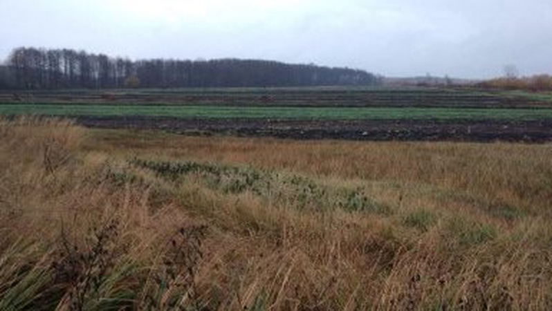 Лісгосп незаконно захопив у громади на Волині понад 700 гектарів сільськогосподарських земель