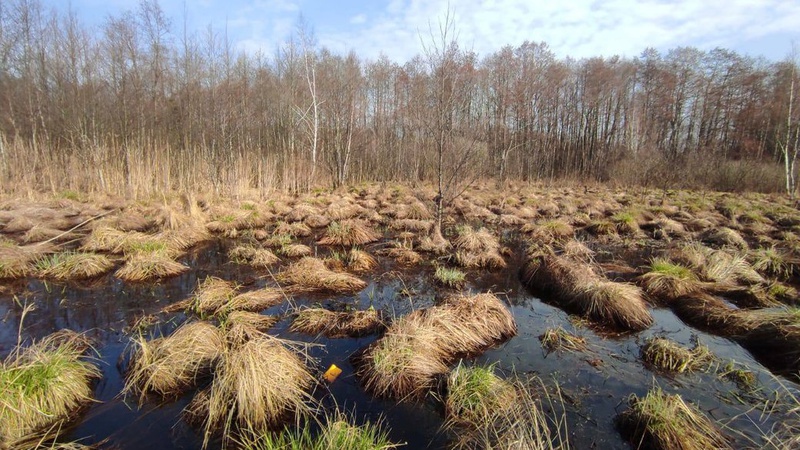 На Волині знайшли речі зниклої 17-річної дівчини