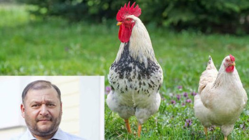 Володимир-Волинською торговою компанією Добкіних керує мешканка ОРДЛО