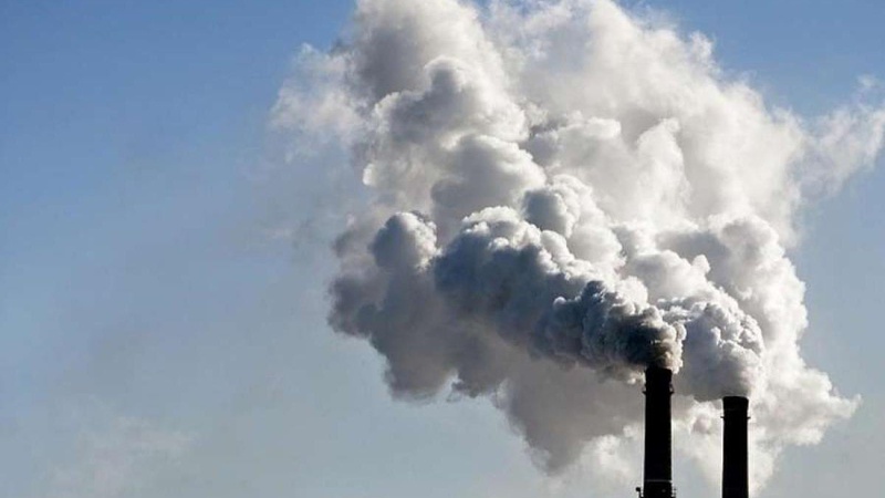 Підприємство на Волині відшкодувало завдані довкіллю збитки на суму 400 тисяч гривень