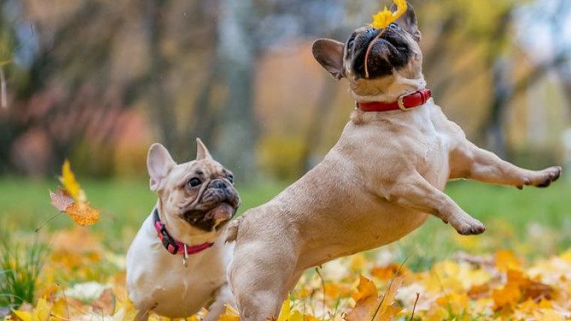 Яка погода очікується завтра, 21 жовтня